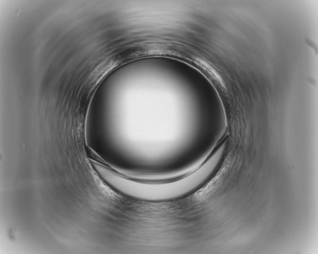 X0000095540801200712281543