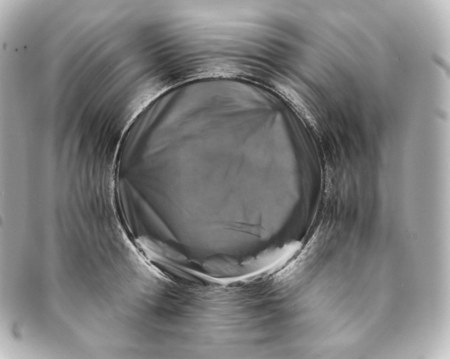 X0000095540802200712281543