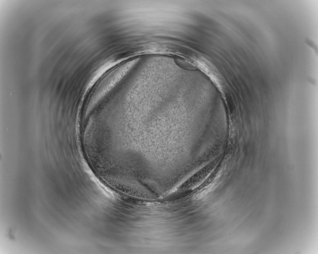 X0000095540803200712281543