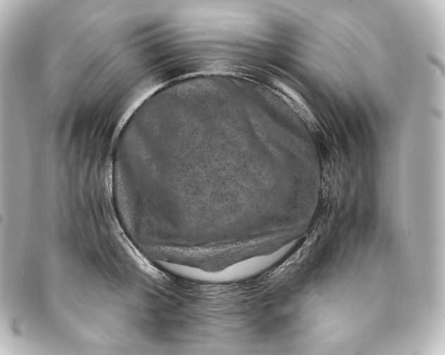 X0000095540804200712281543