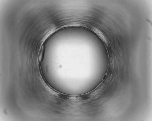 X0000095540805200712281543