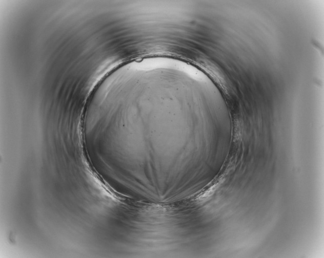 X0000095540806200712281543