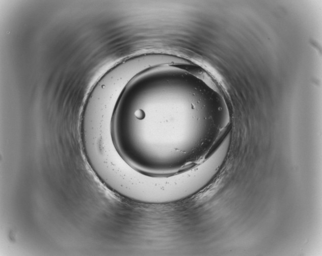 X0000095540807200712281543