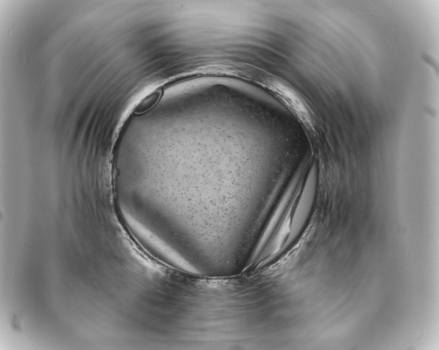 X0000095540808200712281543