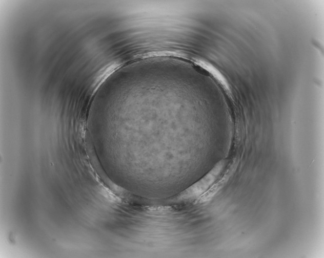 X0000095540809200712281543