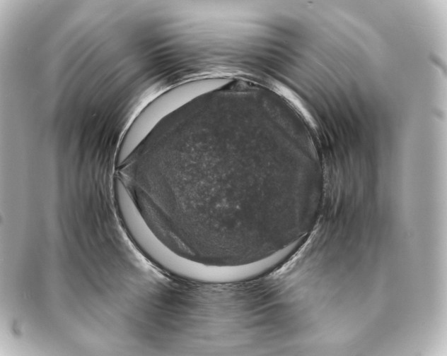 X0000095540810200712281543