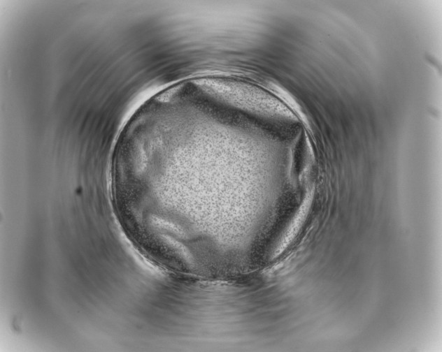 X0000095540811200712281543