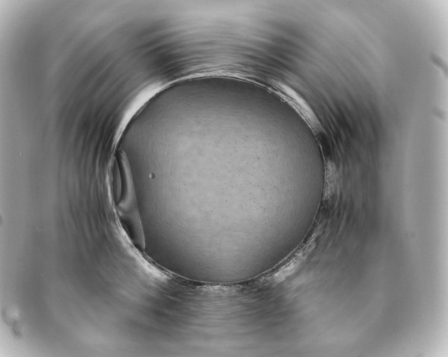 X0000095540812200712281543