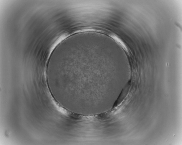 X0000095540813200712281543