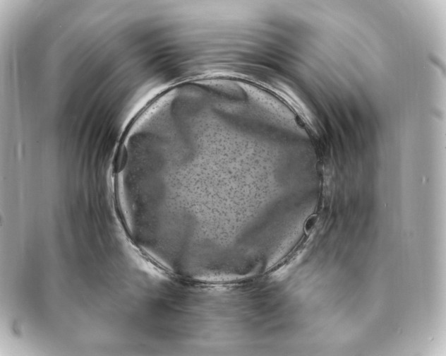 X0000095540814200712281543