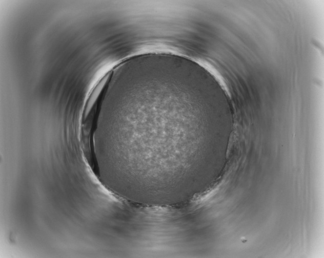 X0000095540815200712281543