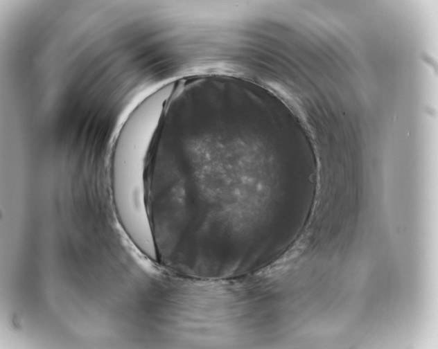 X0000095540816200712281543