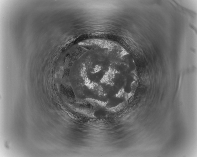 X0000095540817200712281542