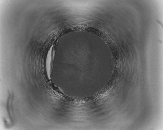 X0000095540818200712281542