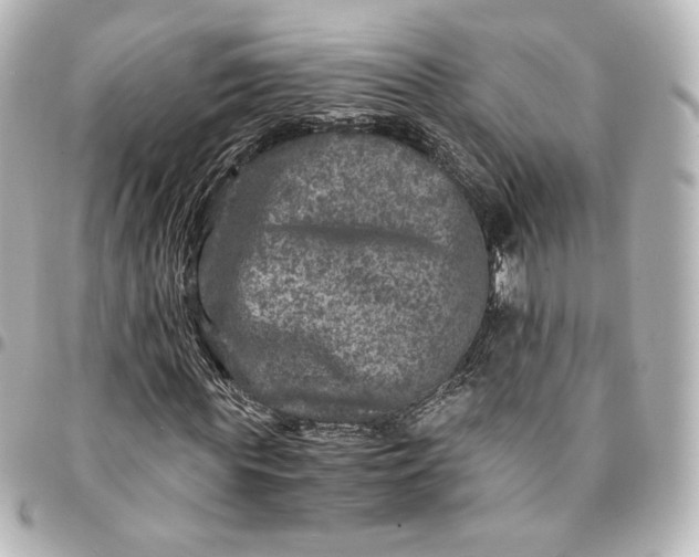 X0000095540819200712281542