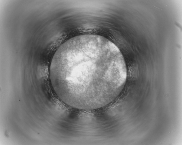 X0000095540820200712281542