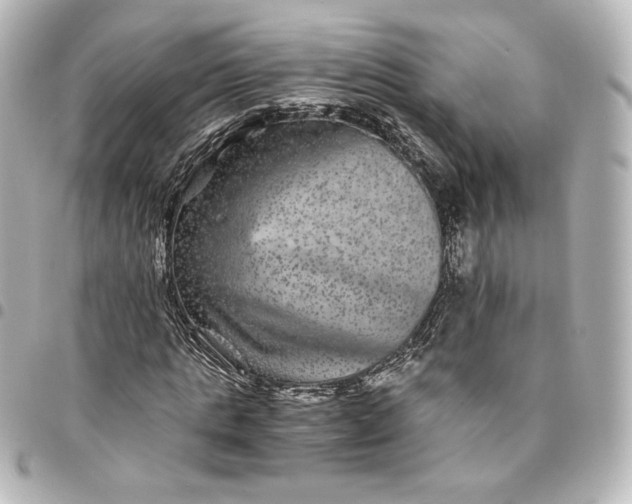 X0000095540821200712281542