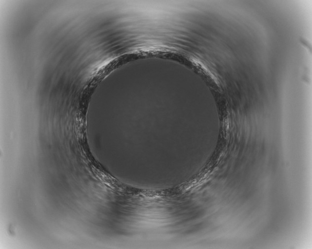 X0000095540822200712281542