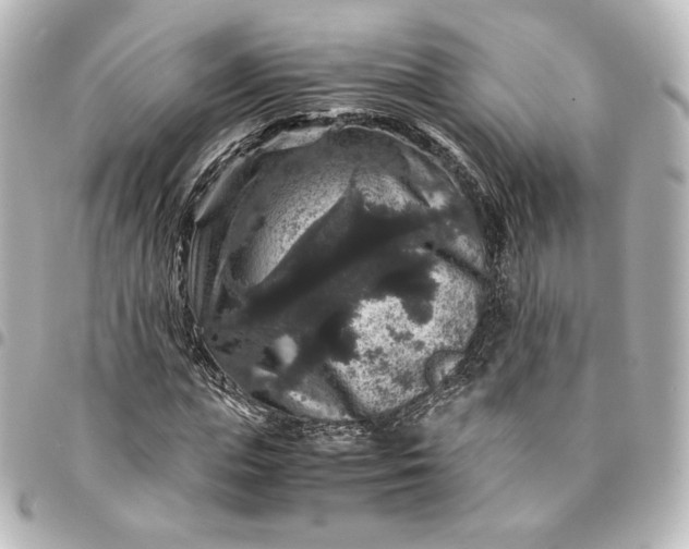 X0000095540823200712281542