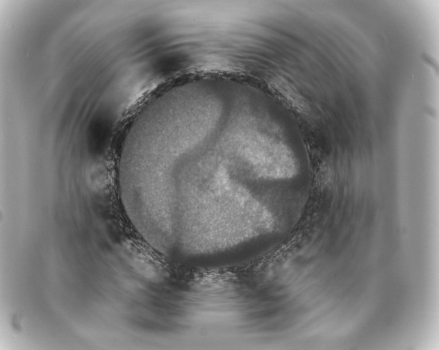 X0000095540824200712281542