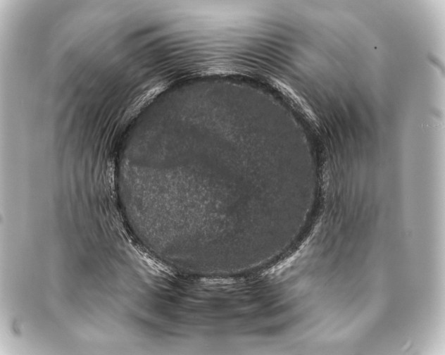 X0000095540825200712281542