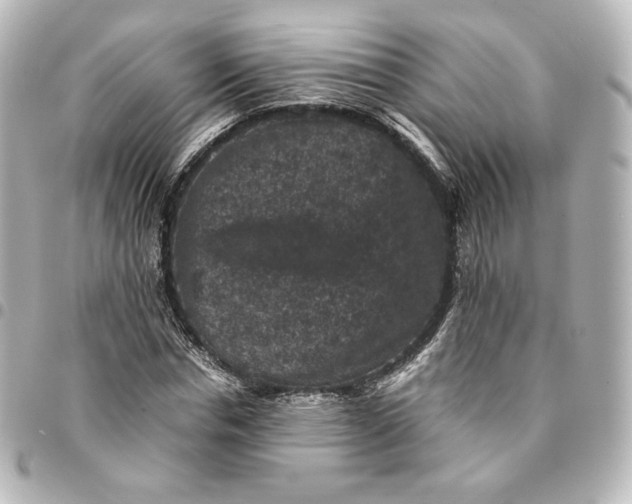 X0000095540826200712281542