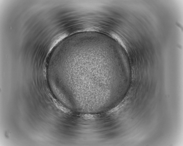 X0000095540827200712281542