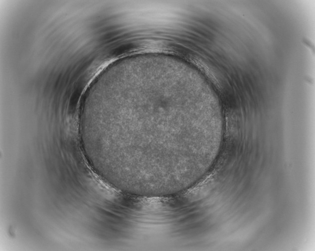 X0000095540828200712281542