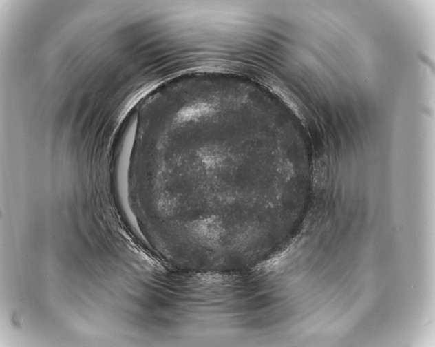 X0000095540829200712281542