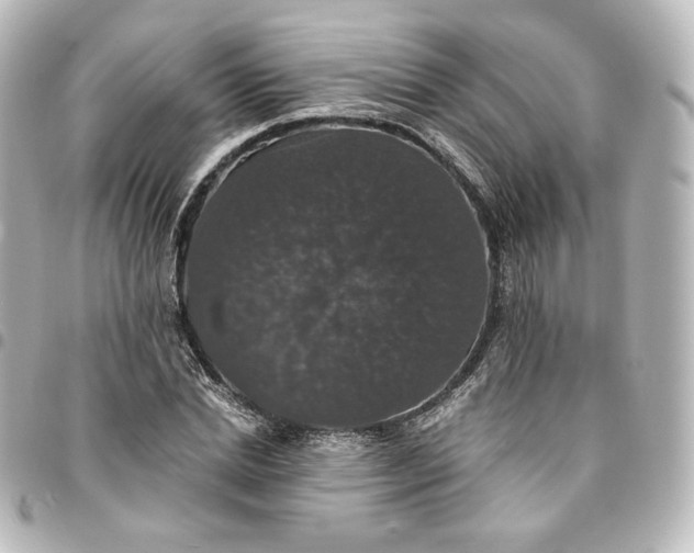 X0000095540830200712281542