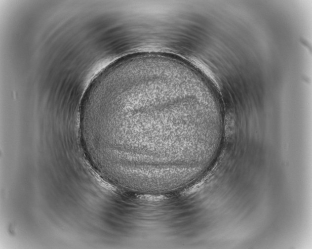 X0000095540831200712281542