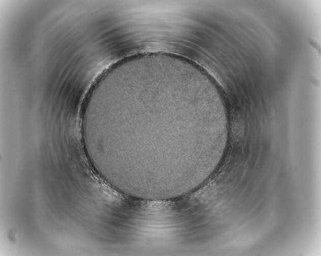 X0000095540832200712281542