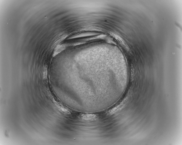 X0000095540833200712281542