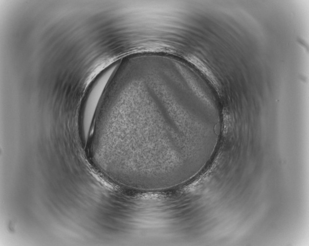 X0000095540834200712281542