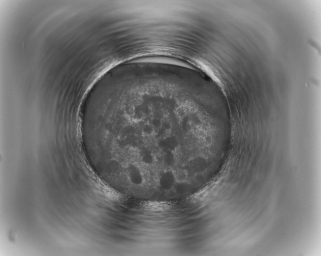 X0000095540835200712281542