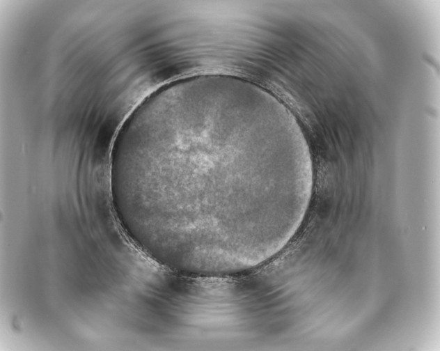 X0000095540836200712281542