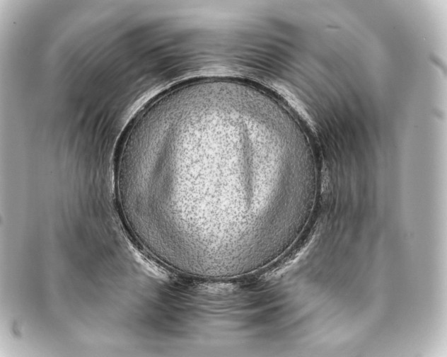 X0000095540837200712281542