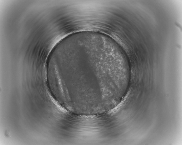 X0000095540838200712281542