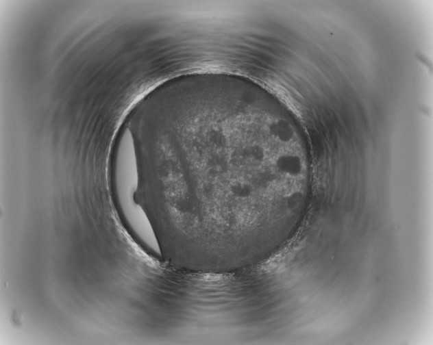 X0000095540839200712281542