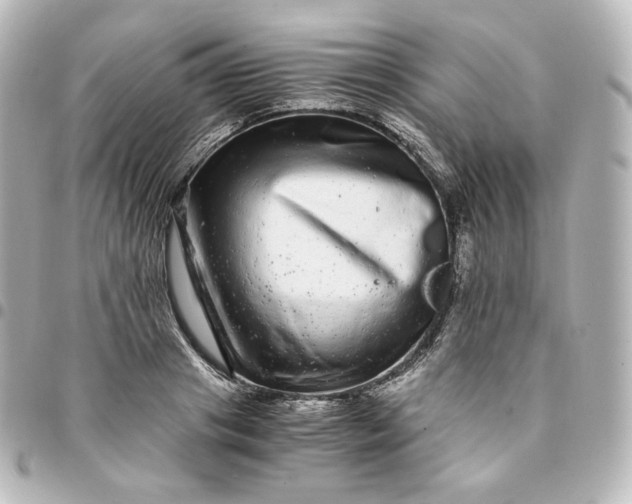 X0000095540841200712281542