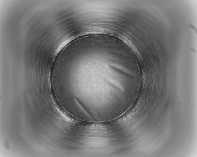 X0000095540842200712281542