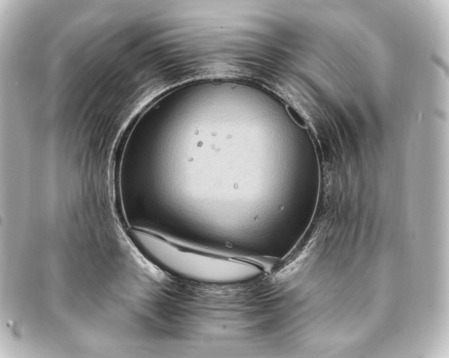 X0000095540843200712281542