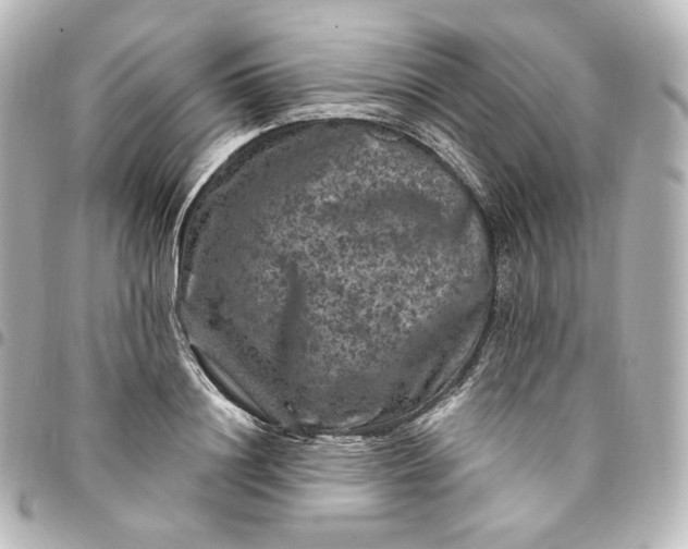 X0000095540844200712281542