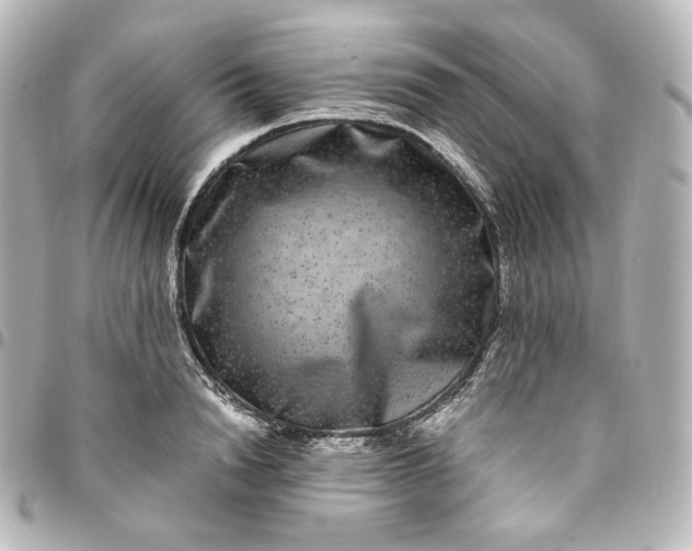 X0000095540846200712281542