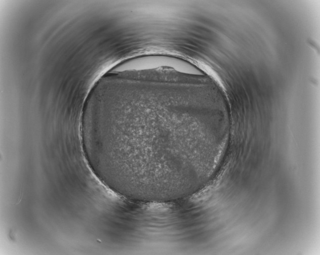 X0000095540847200712281542