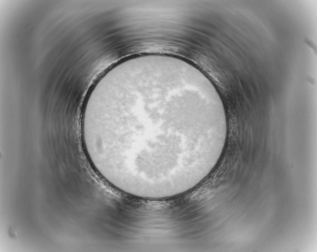 X0000095540848200712281542