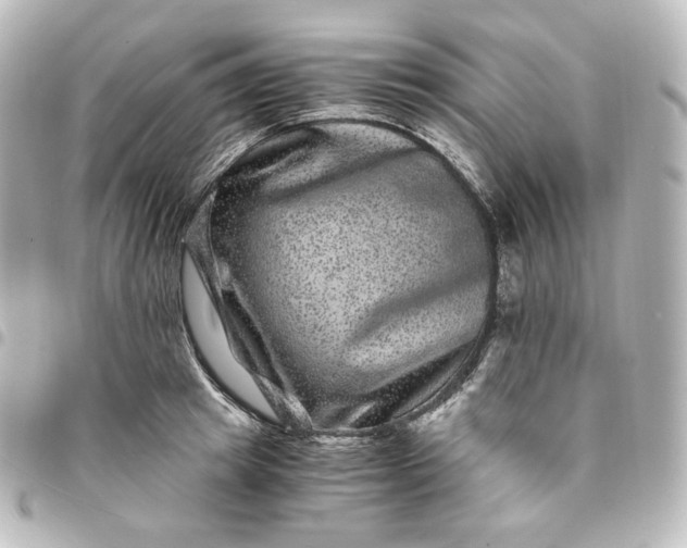 X0000095540849200712281542