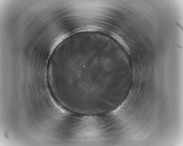 X0000095540850200712281542