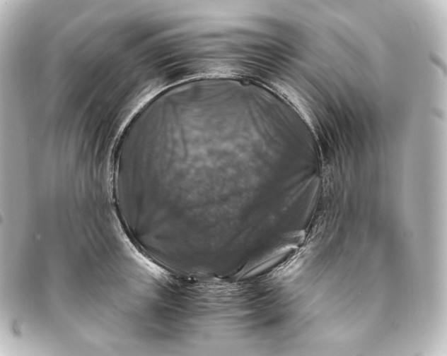 X0000095540851200712281542