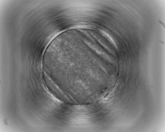 X0000095540852200712281542